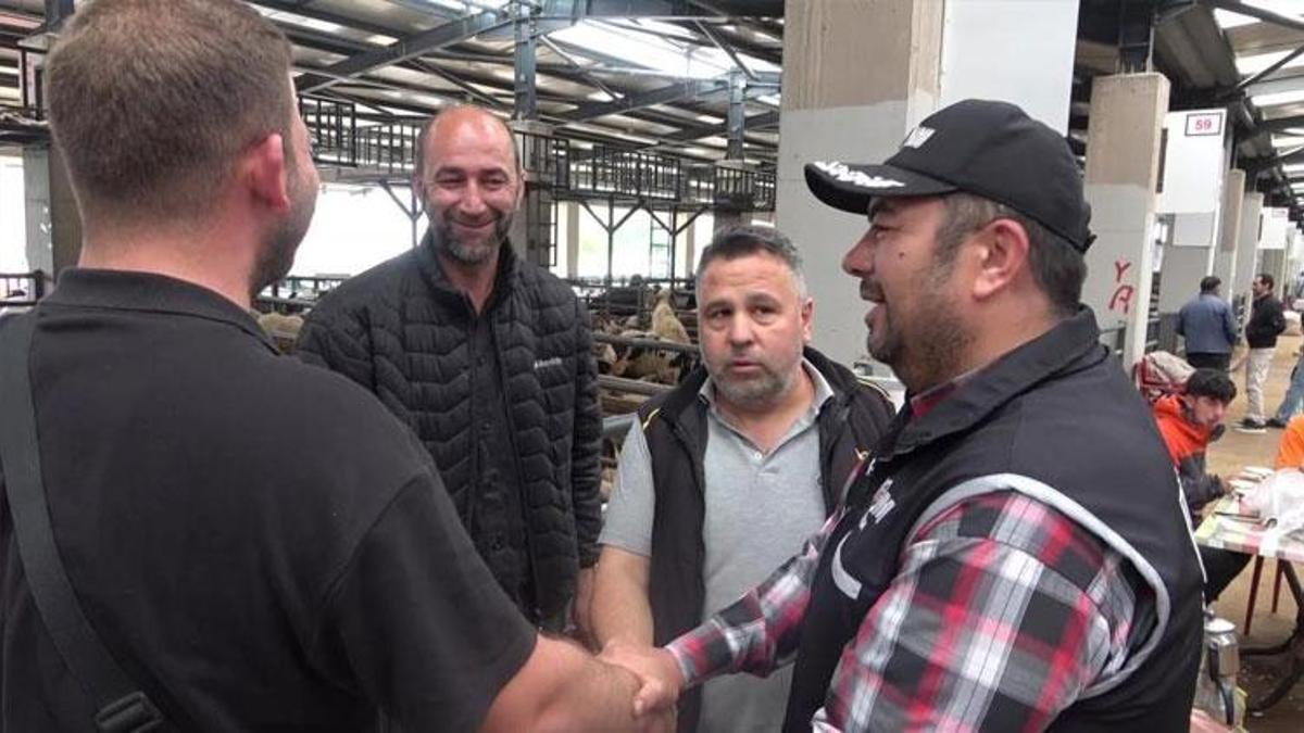 Bursa'da kurban pazarında güldüren anlar! Mali Polis çetin pazarlığa dahil oldu