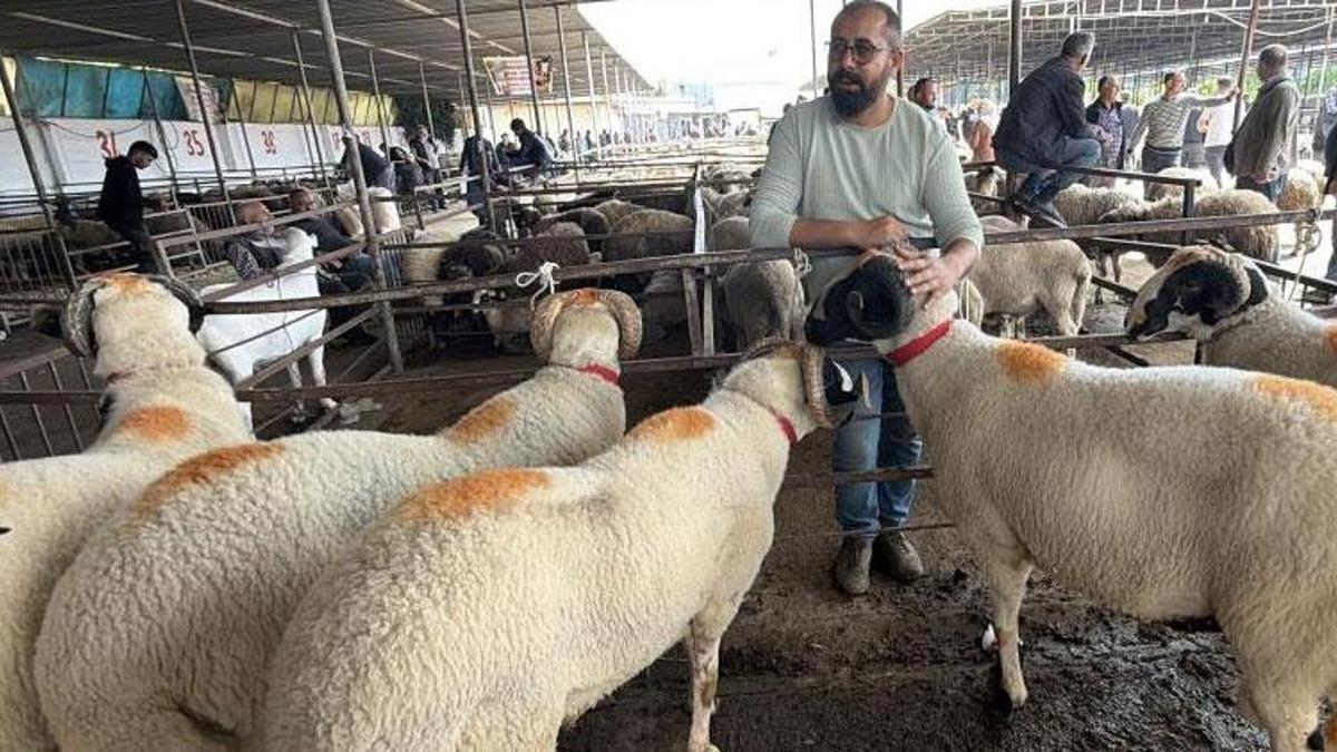 Havran'da asırlık gelenek fiyatıyla da dikkat çekiyor