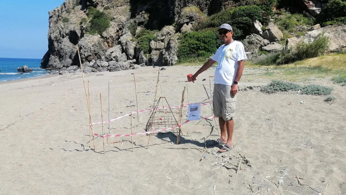 Gazipaşa'da yılın ilk caretta caretta yuvası korumaya alındı