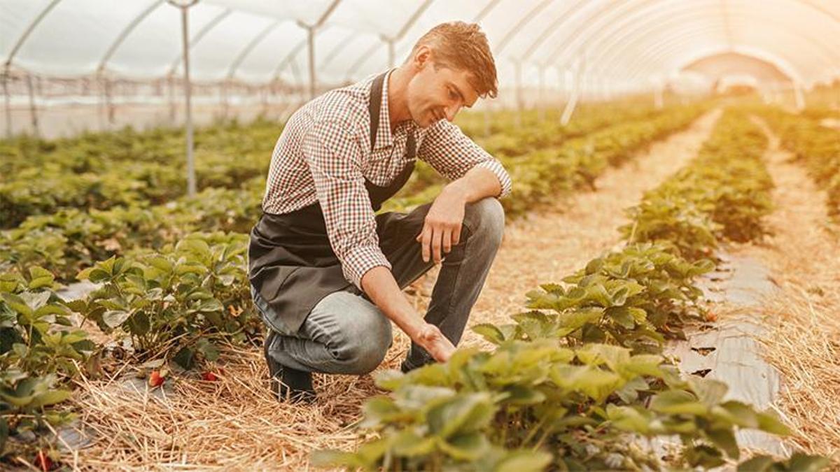 Türkiye dünyada beşinci! Yüzde 125 daha değerli hale geldi