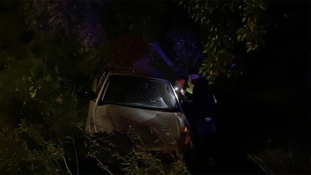 Bursa'da otomobil zeytinliğe uçtu: 2'si çocuk 4 yaralı var