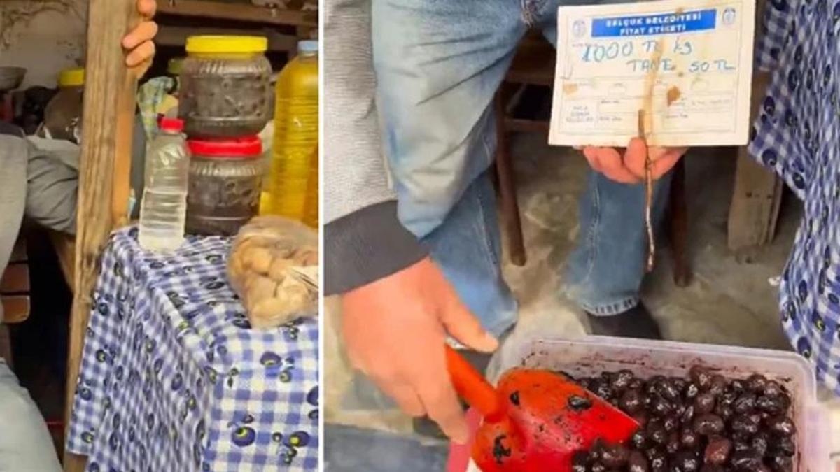 İzmir’de zeytinin tanesi 50 TL! Bakanlık rezalet sonrası harekete geçti