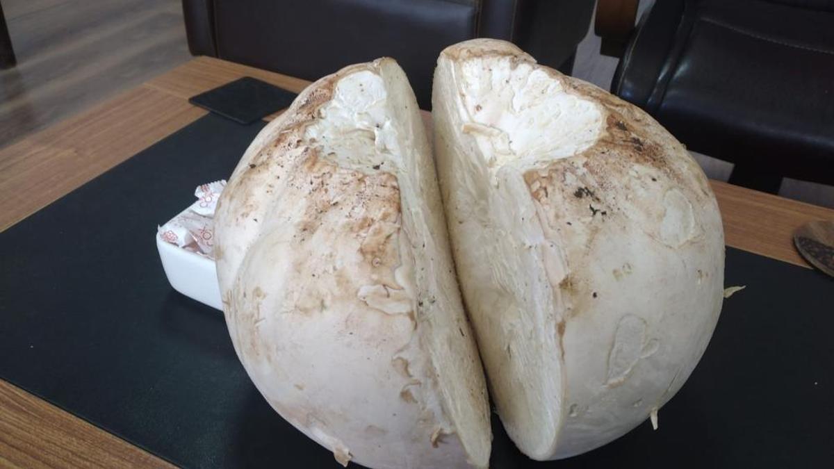 Erzincan'da futbol topu sandı, gerçek bambaşka çıktı!
