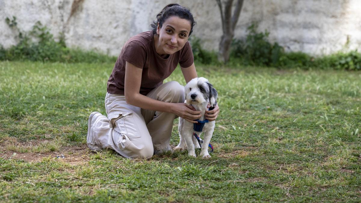 Mersin’de bin 927 can dost yeni yuvasına kavuştu