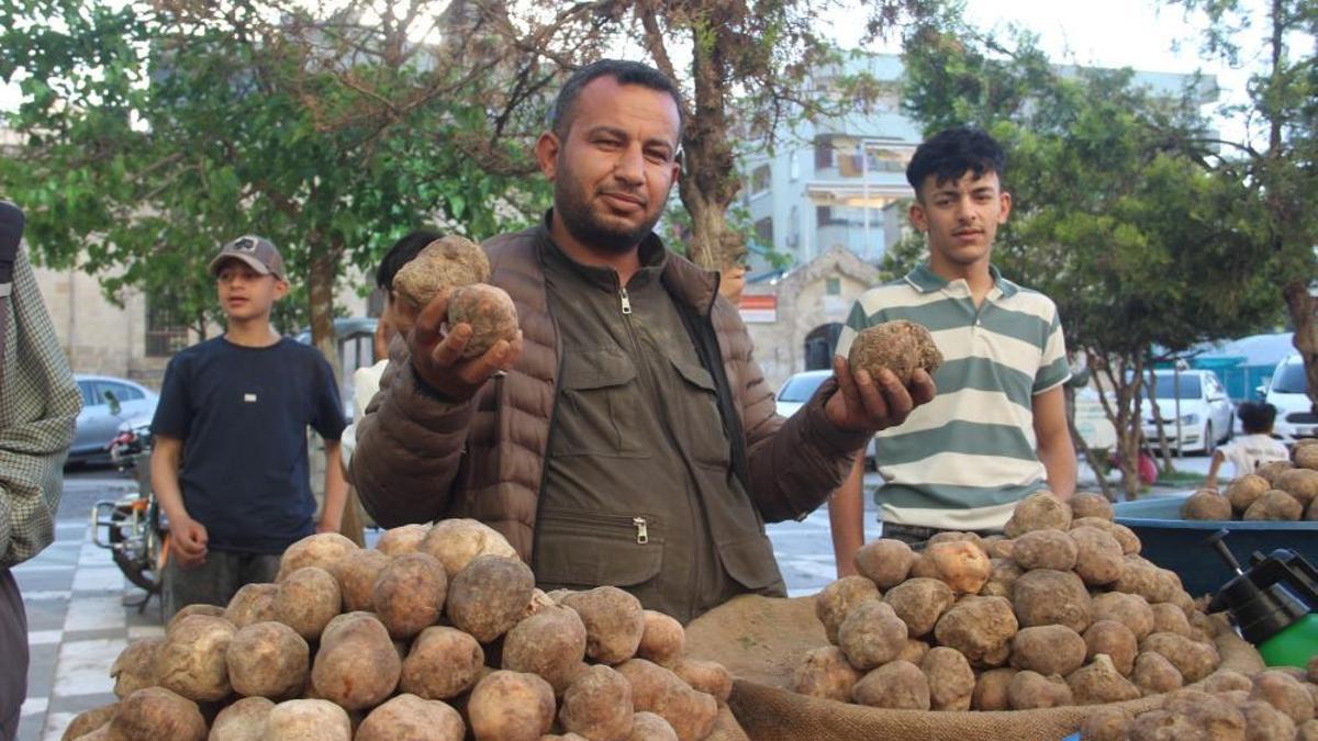 Şanlıurfa'da yetişiyor! En pahalı kebap bu mahsulden yapılıyor