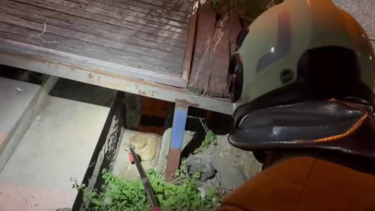 Hatay'da evin bahçesine giren yılan, doğaya salındı