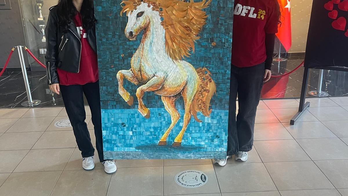 Dörtyol Fen Lisesi'nden Türkiye ikinciliği