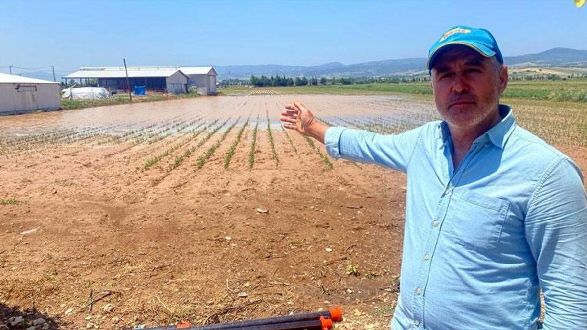 Yenişehir'de etkili olan dolu ve sağanak tarım arazilerini vurdu