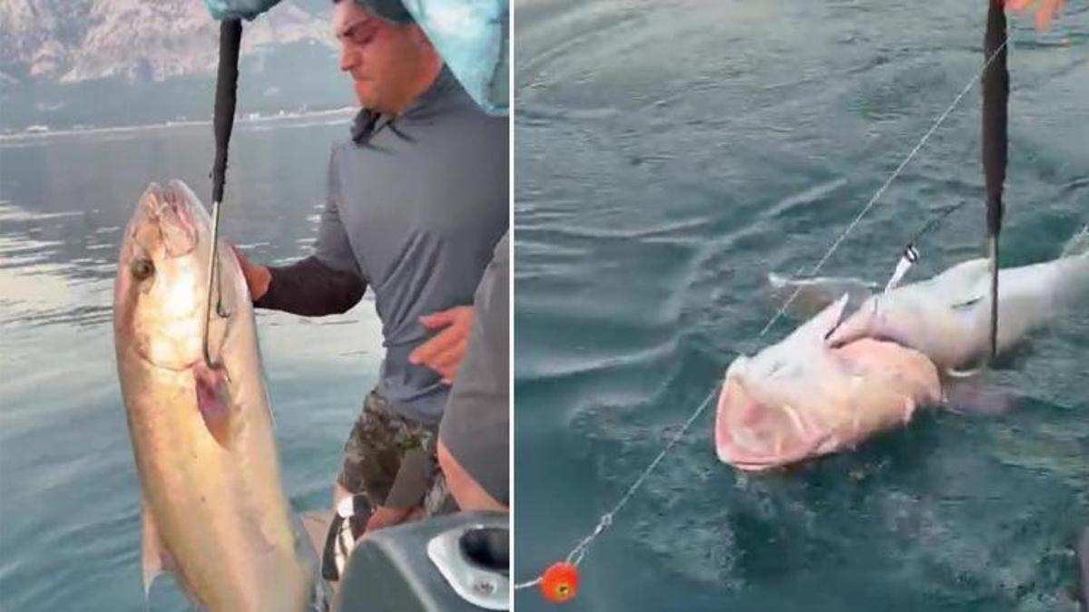 Boyu 1.5 metre, kilosu 56! Denizden çıkan dev 'canavarı' görenler inanamadı