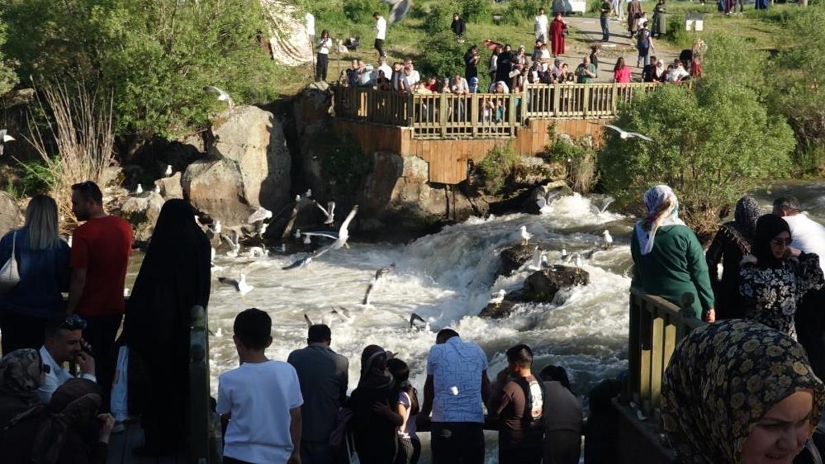 Uçan balıkların göç yolculuğu gecikmeli başladı! Dünyada sadece burada görülüyor