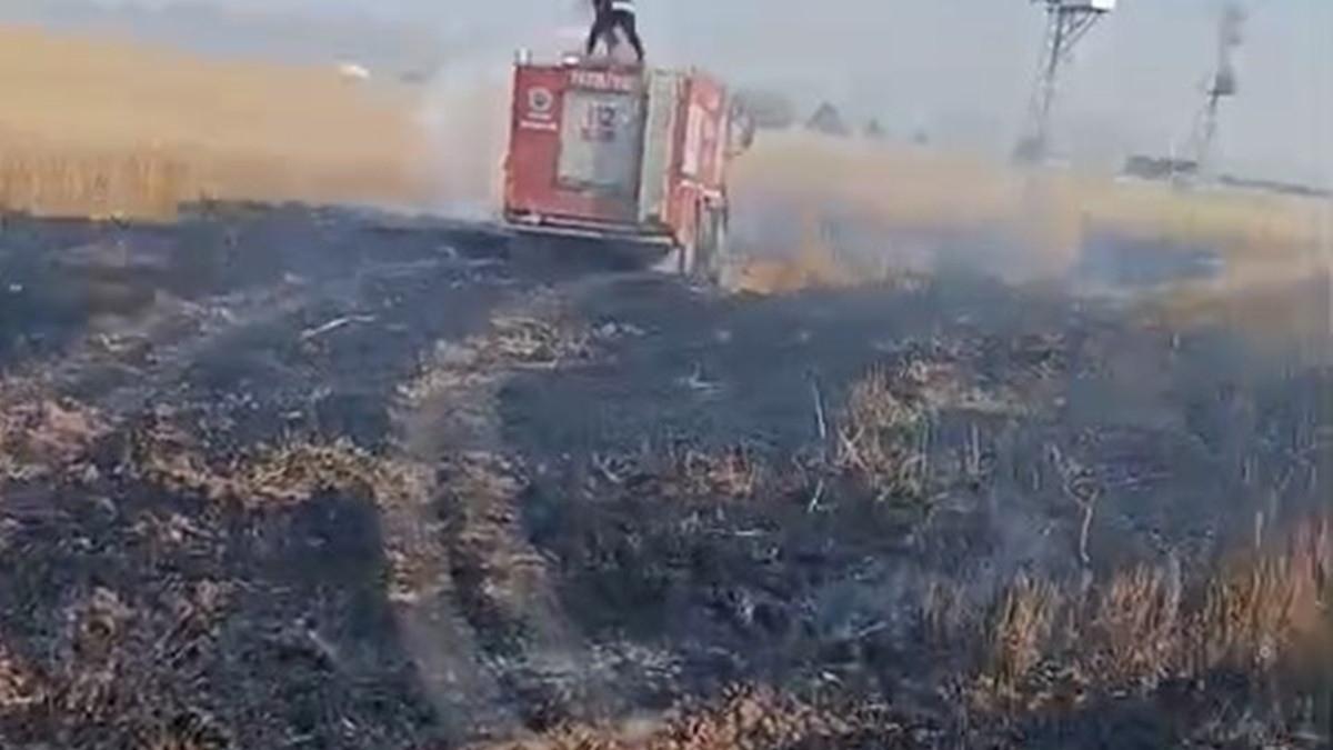 Şırnak’ta buğday ekili arazide yangın