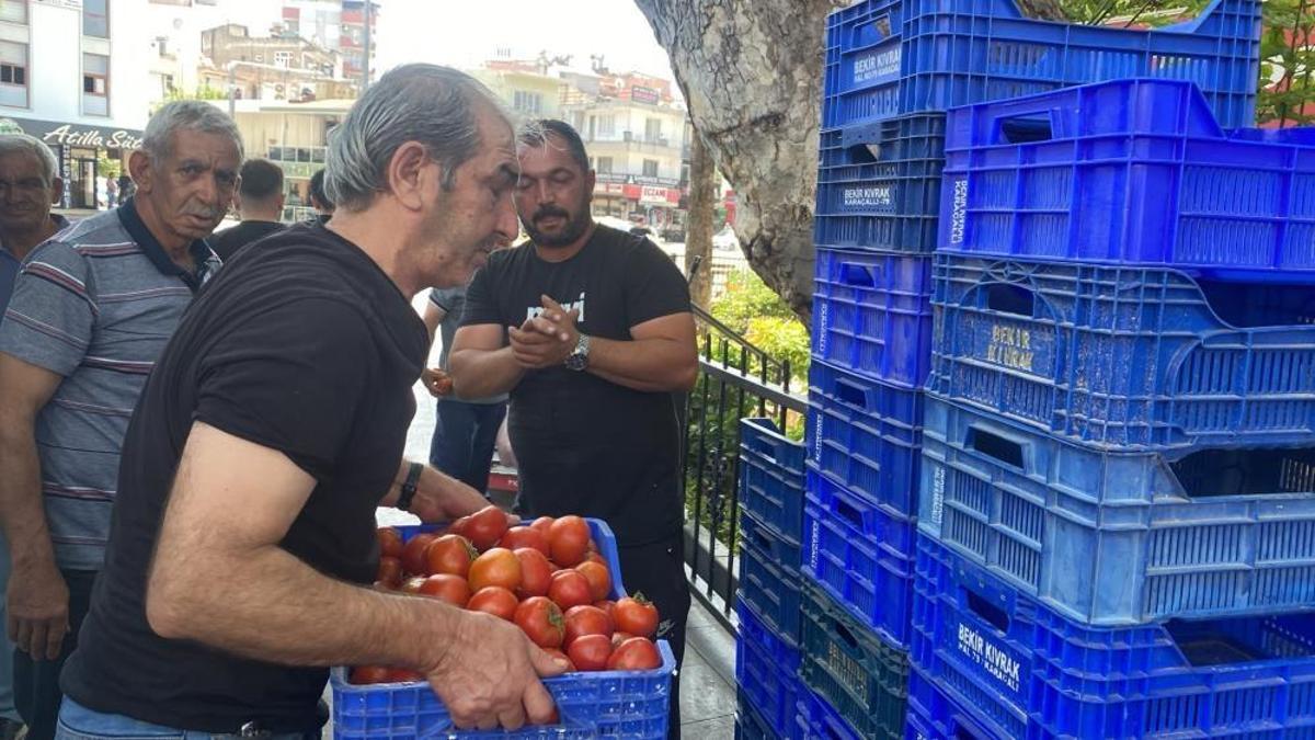 Bedava dağıtıldığını duyan oraya koştu! Tam 4 ton ürün dakikalar içinde kapışıldı