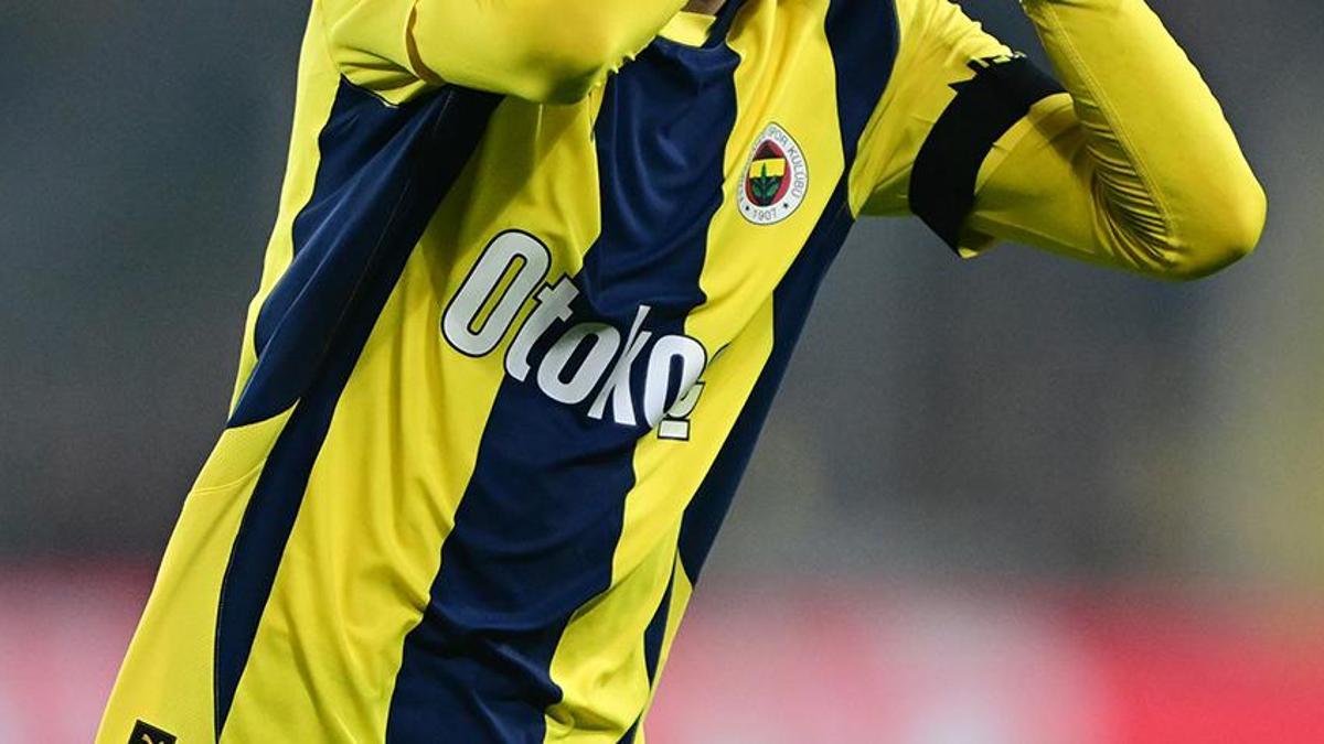 Fenerbahçe'nin eski yıldızı 1. Lig takımına transfer oldu