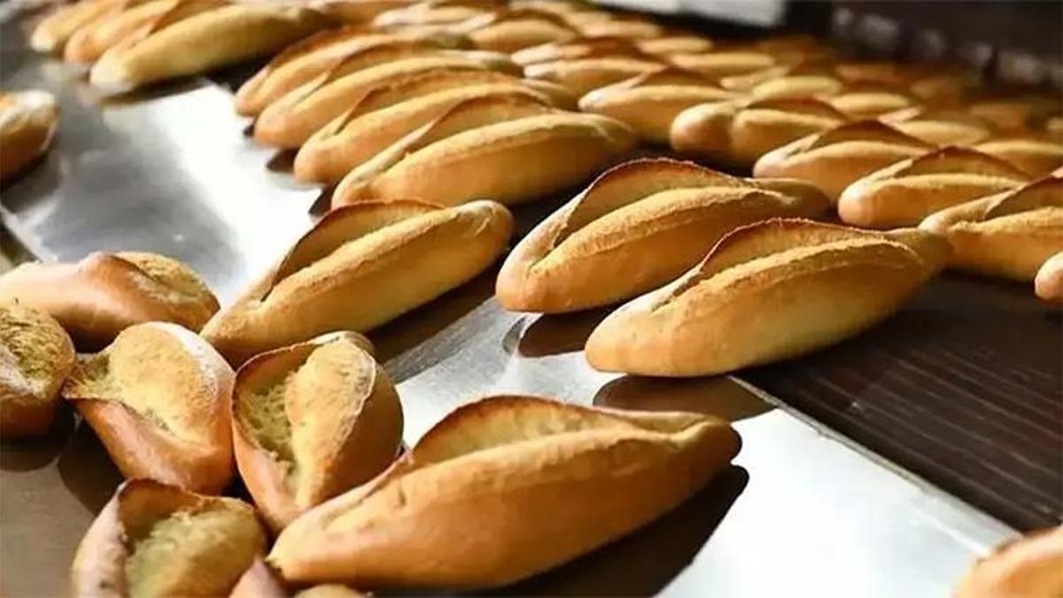 Piyasanın yüzde 44 altında satılacak! Pozantı Belediyesi'nden halk ekmek hamlesi, 15 Haziran'da başlıyor