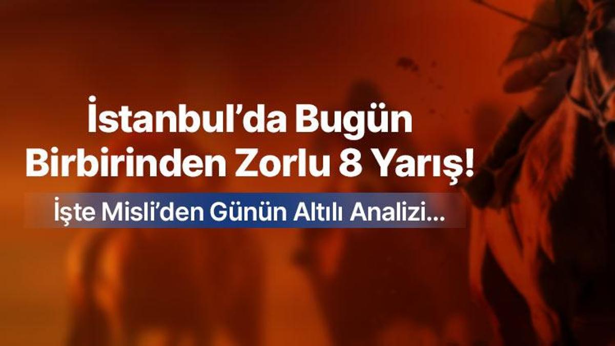İstanbul’da Bugün Birbirinden Zorlu 8 Yarış ! İşte Misli’den Günün Altılı Analizi…