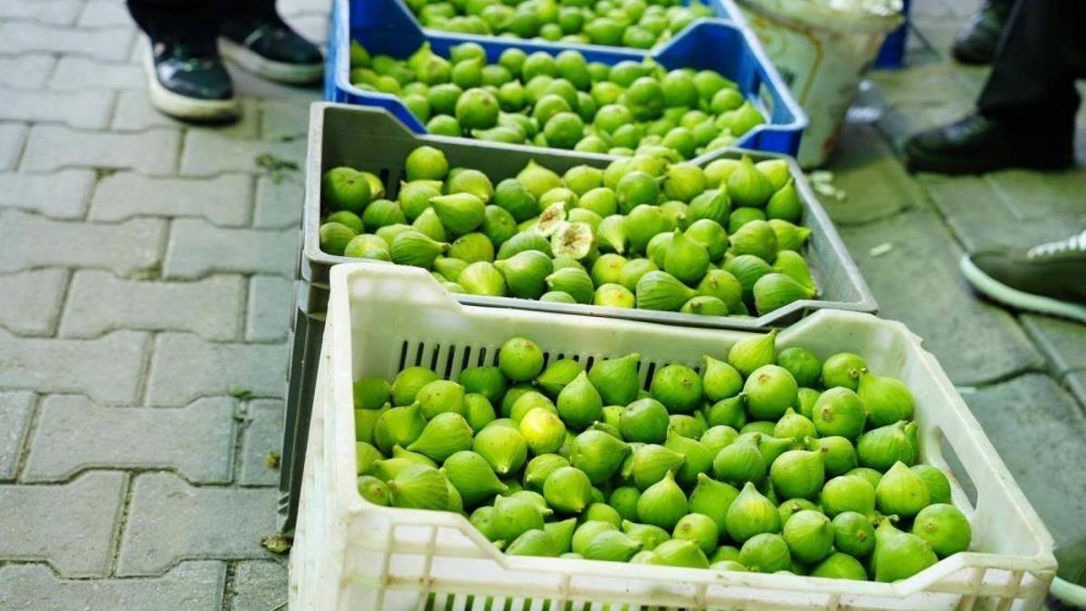 Dün fiyatı 500 liraydı, bugün 50 liraya düştü! Bu meyvenin özelliği üstündeki sinekte gizli