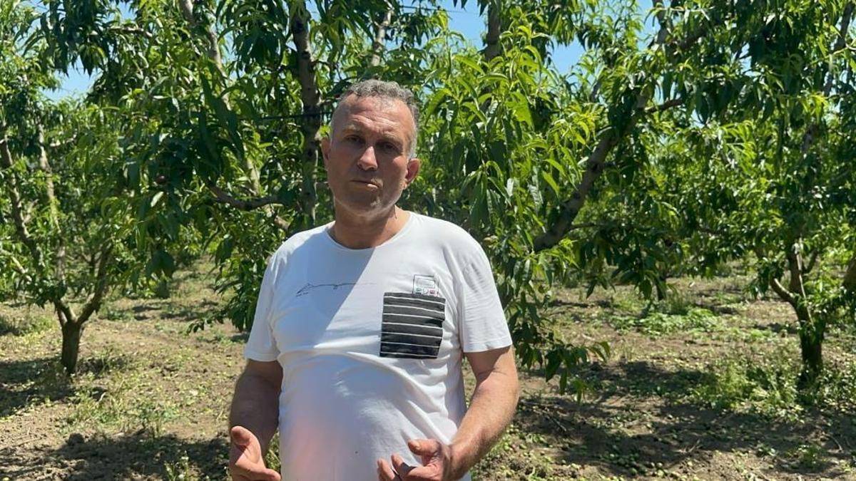 Bursa'da bolluk zamanı! Üreticiler 'tekleme' yapmaktan usandı