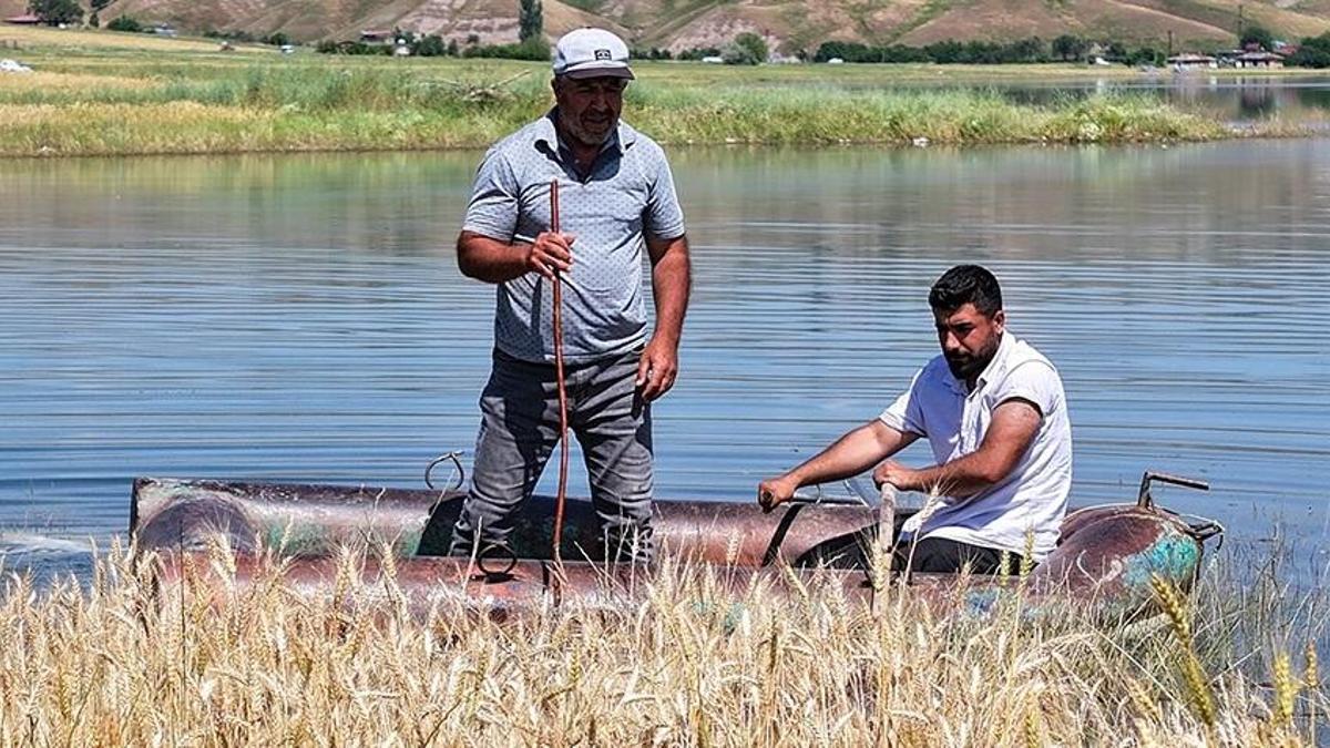 Diyarbakır'da köylüler inanamadı! Tarlanın hepsini kapladı: 55 yaşındayım, böyle bir şey görmedim