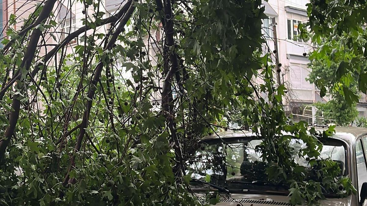 Manisa'da sağanak; sel sularının evin kapısından taştığı anlar kamerada