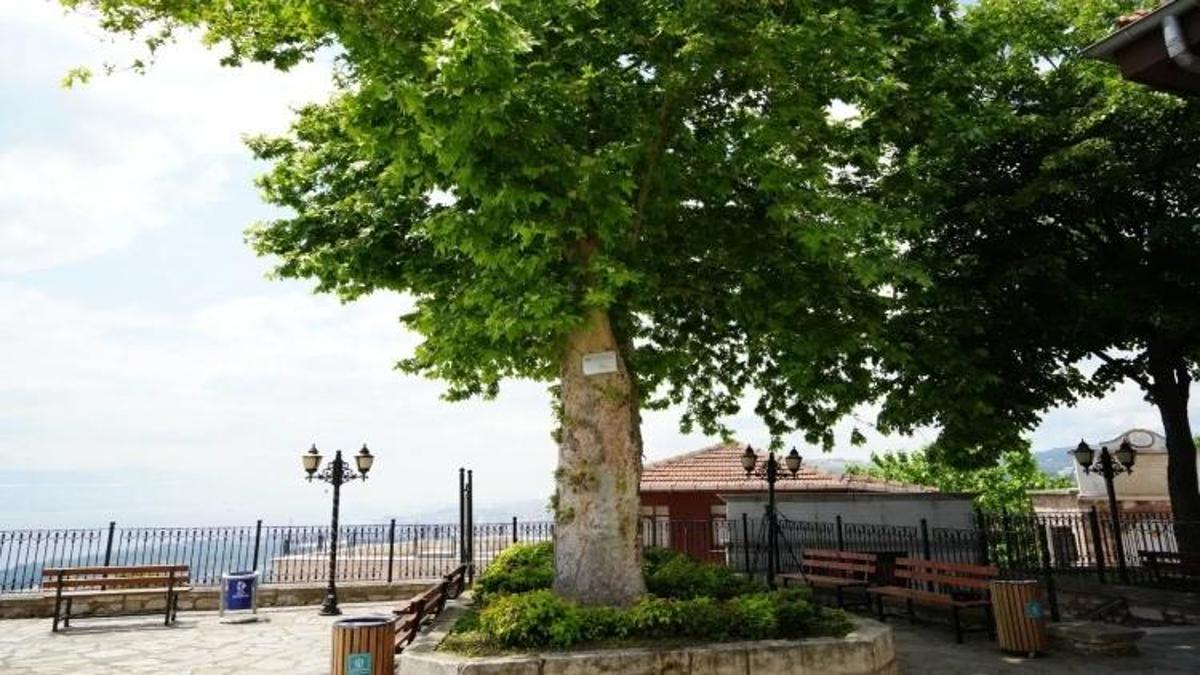 Kocaeli'de 6 asırdır ayakta duruyor: Şehrin en yaşlısı yıllara meydan okuyor