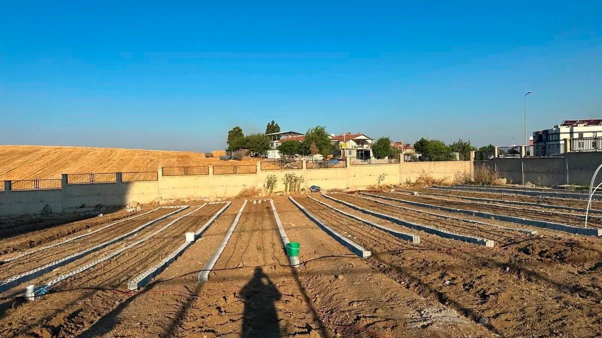 Kırıkhan'da ata tohumları yaygınlaşacak