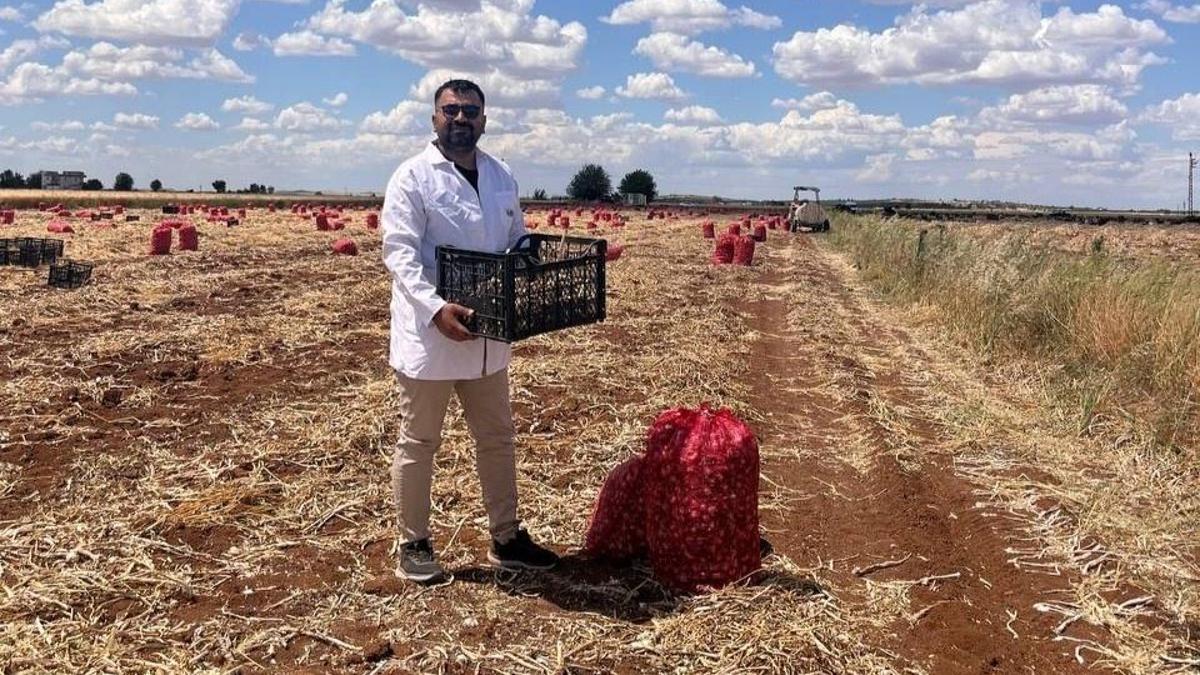 Şanlıurfa'da her gün 200 bin TL harcanıyor: Suruç Ovası'nda kaygı büyüyor