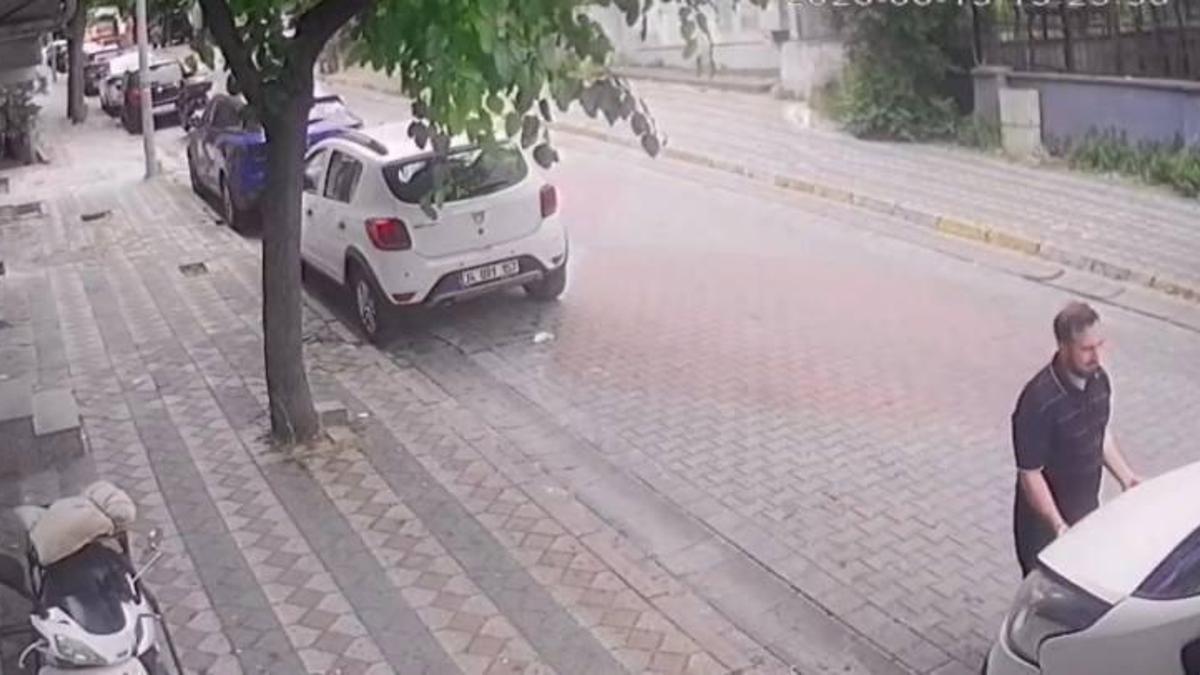 Sultangazi'de kaputun altından kuş, direksiyonun içinden kertenkele çıktı