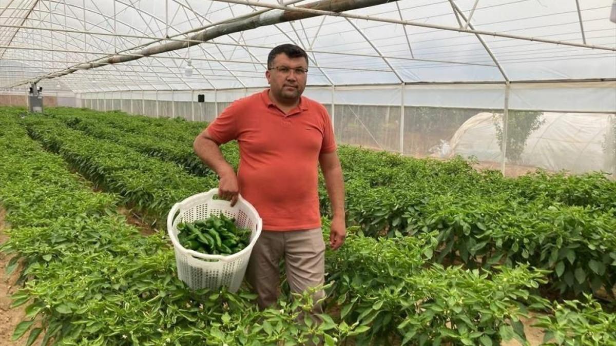 Kilosu 350 lira ama pazarda kapış kapış gidiyor! Lezzeti fiyatını unutturuyor