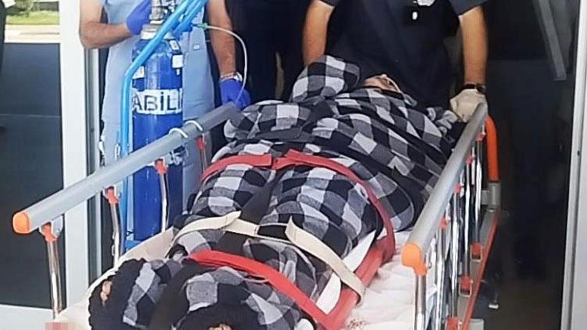 Hayvanlarını otlatırken ayı saldırısına uğradı, Kangallar sayesinde hayata tutundu
