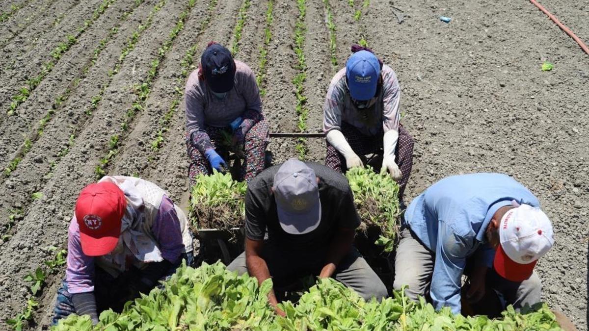 Yargıtay'dan emsal karar! Artık 2 grup daha ihbar tazminatı alacak