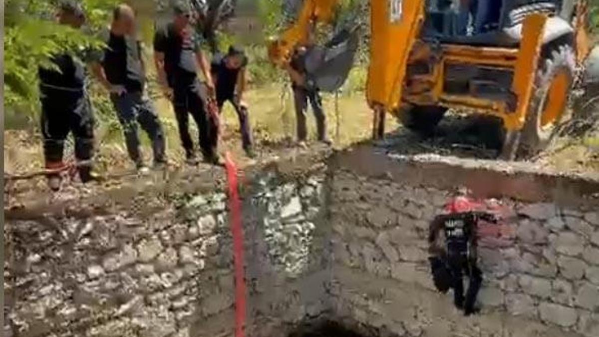 Malatya'da sulama havuzuna düşen inek, halatla çıkarılıp kurtarıldı