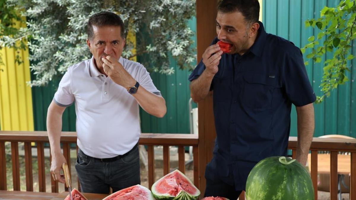Karpuz nasıl seçilir? Vurmak eskide kaldı, işte en iyi yöntem