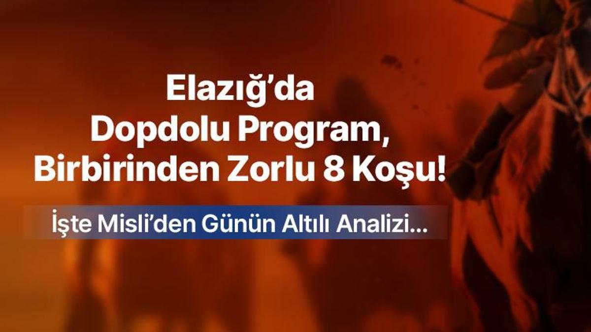 Elazığ’da dopdolu program, birbirinden zorlu 8 koşu! İşte Misli’den günün altılı analizi…