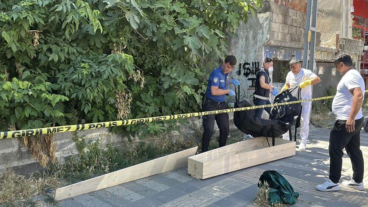 Kaybolan kedisini aramaya çıktı! Cesetle karşılaştı