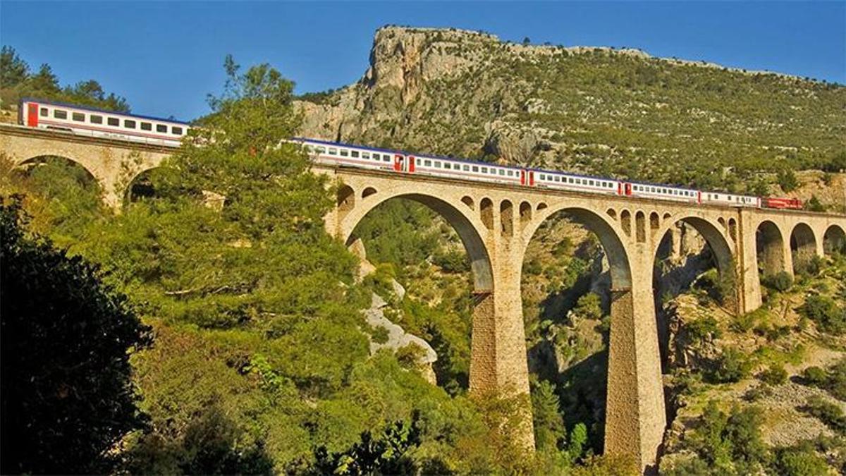 Adana merkezde asfalt eriyor ama orası doğal klima gibi! Sıcaktan bunalan soluğu orada alıyor: Yirmi kilometrelik parkurda adım atacak yer kalmadı!