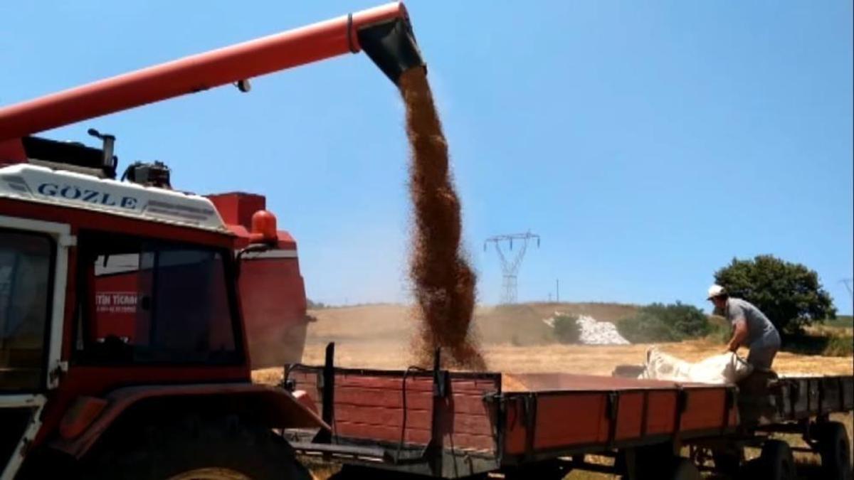 Samsun'da 210 bin dekarlık çalışma başlıyor: Rakamlar belli oldu