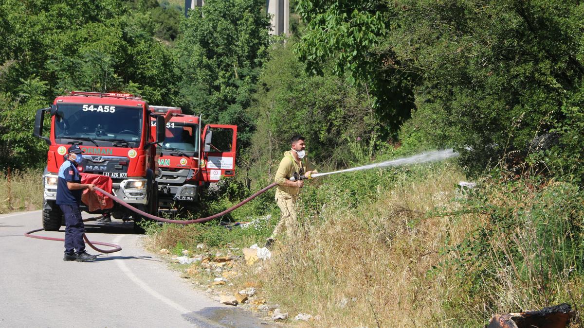 Çöplük alanda çıkan yangın ağaçlara sıçradı