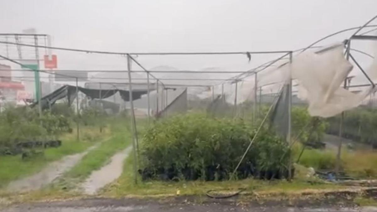 Adana'da kuvvetli rüzgar ve yağış hayatı felç etti! Seralar zarar gördü, yollar göle döndü