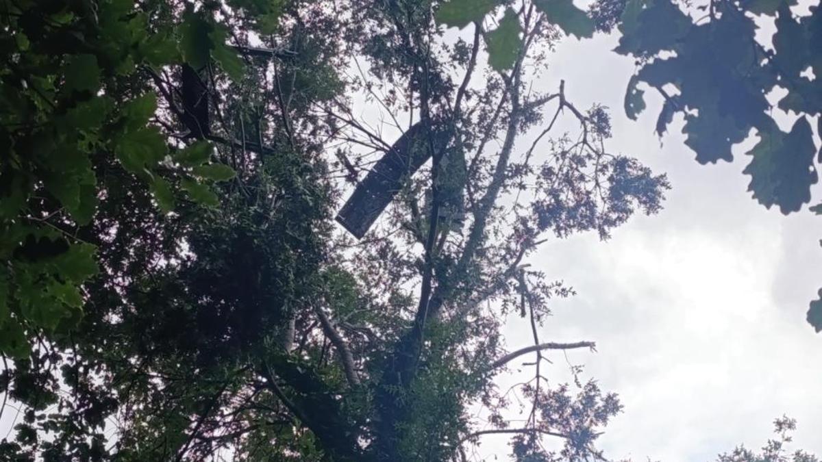 Samsun'da İHA alarmı! Ağacın tepesinde görünce şoka uğradılar