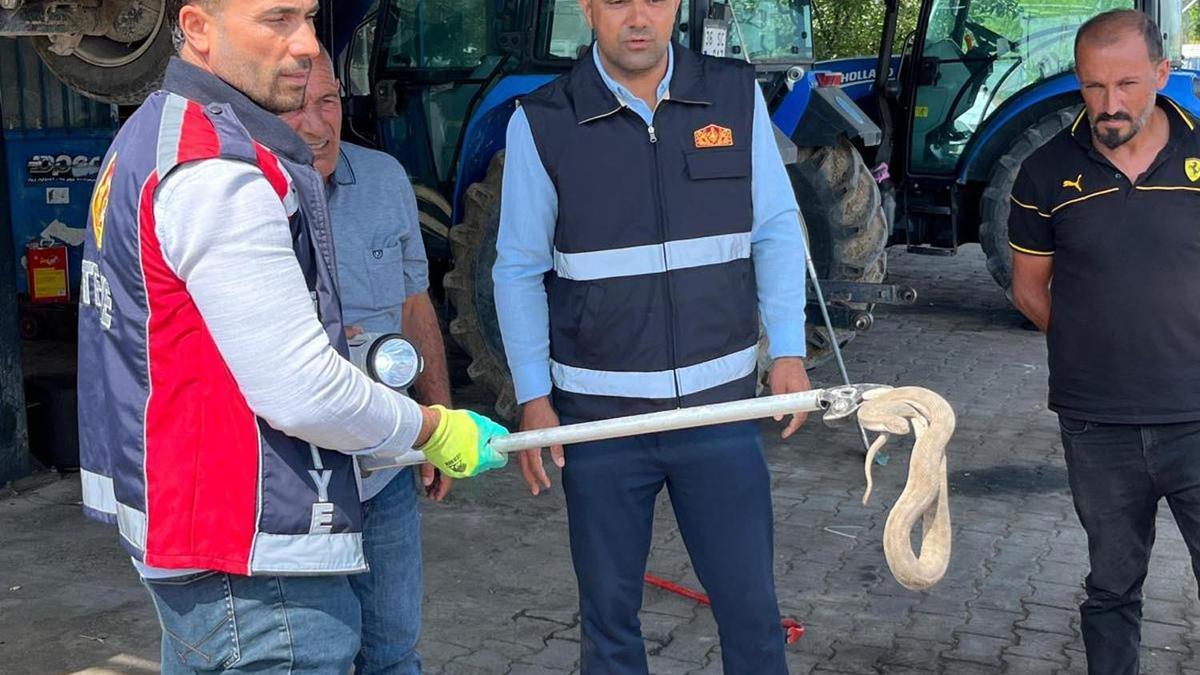 Vinçle kaldırılan otomobilin motor bölümündeki yılan çıkarıldı