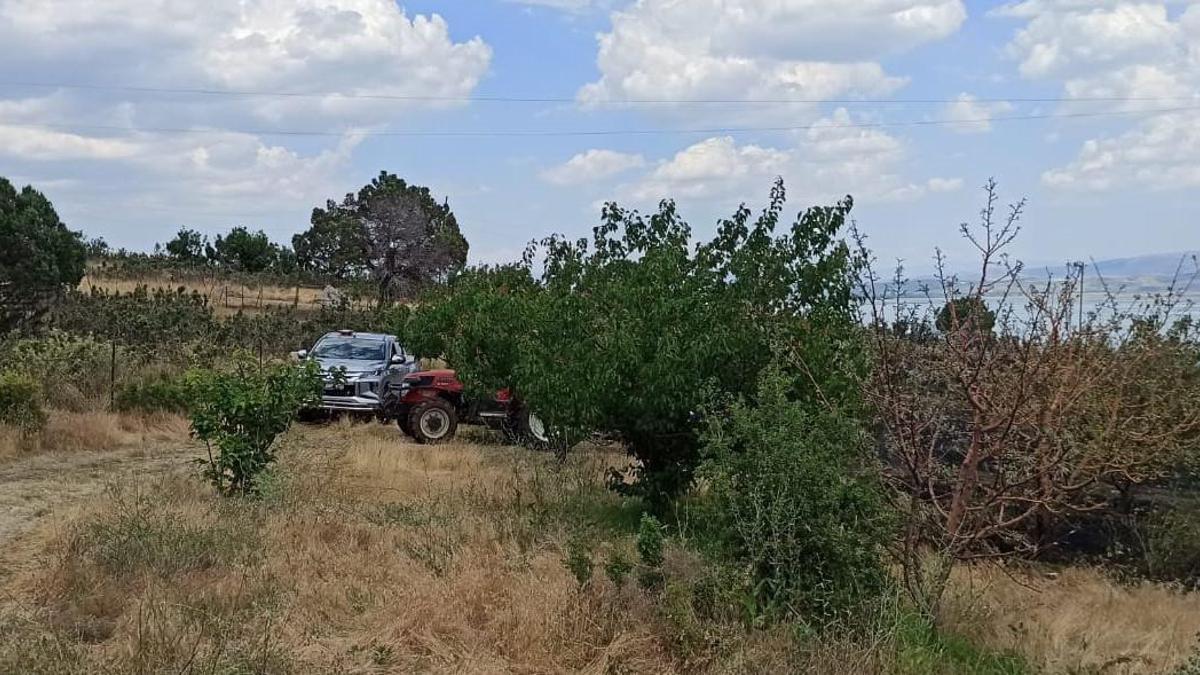 Zirai alan yangını büyümeden kontrol altına alındı