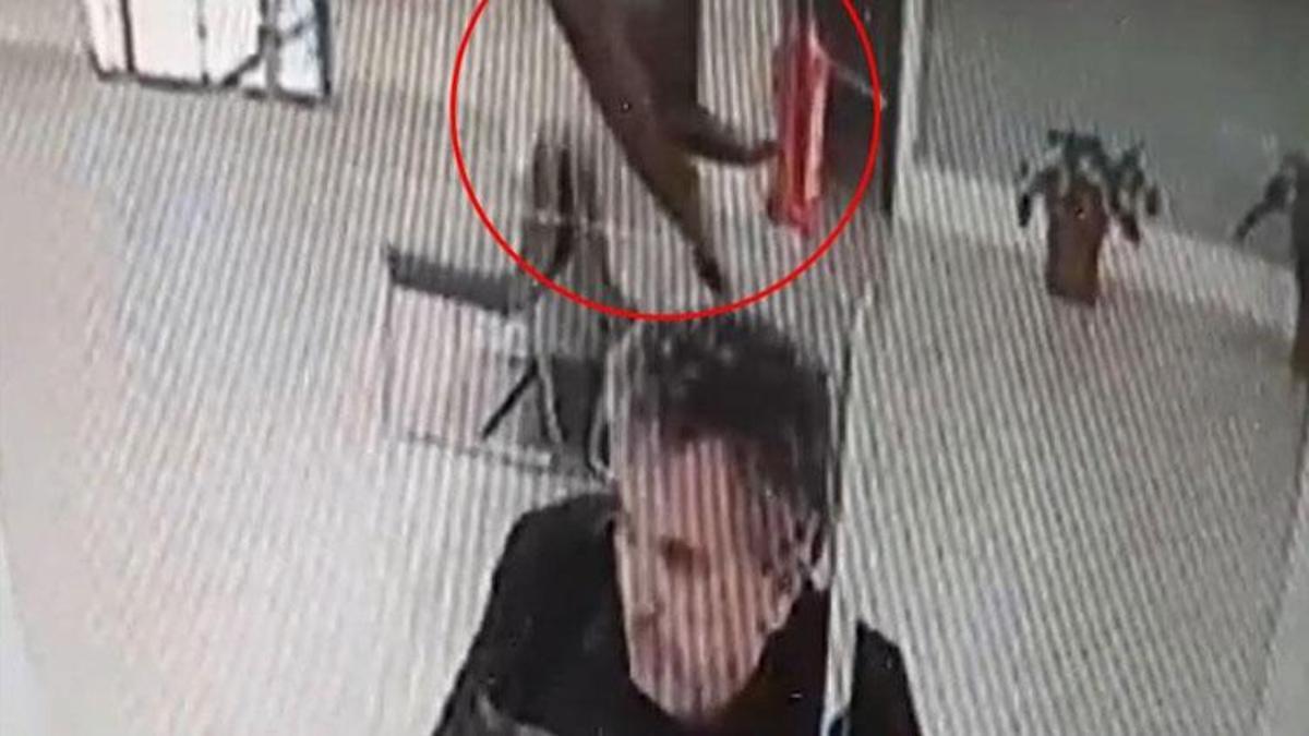 Banka şubesinde işlem yaparken üzerine kedi düştü