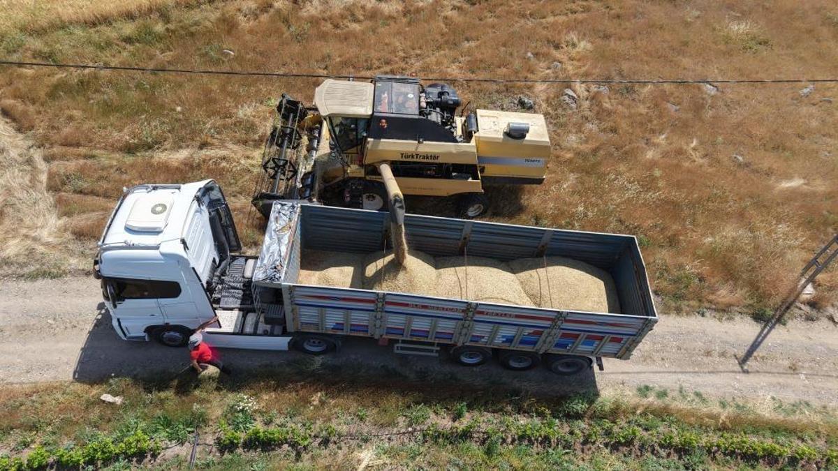Yağışlar bu ürünü etkiledi! Rekoltede düşüş bekleniyor, fiyatlar artabilir