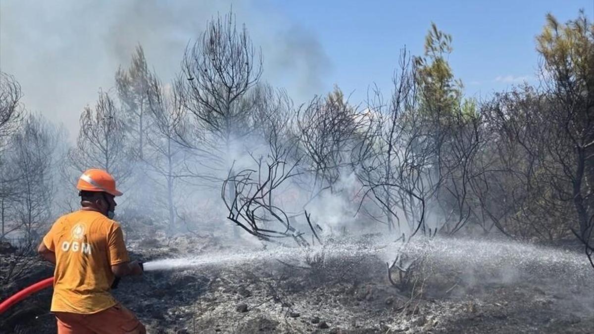 Adana'daki orman yangını kontrol altına alındı