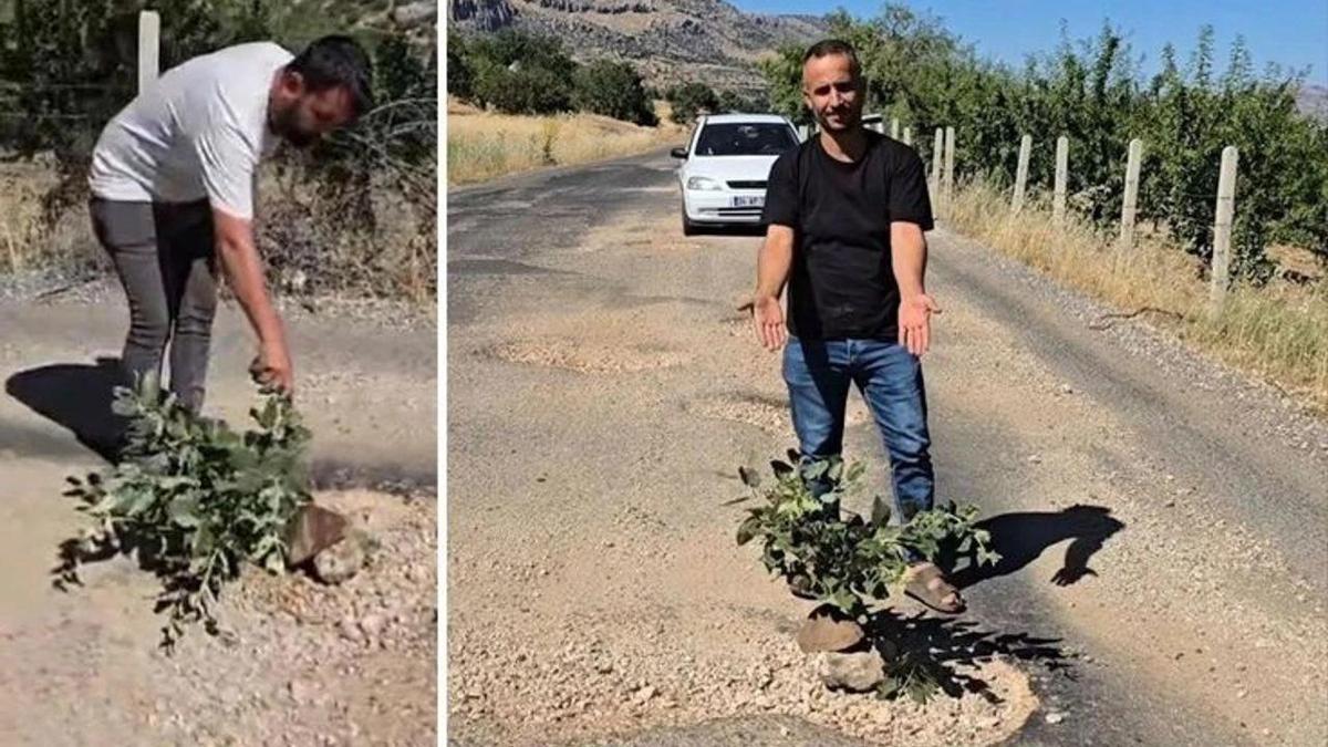 Diyarbakır’da seslerini duyurmak için yol ortasına ağaç diktiler!