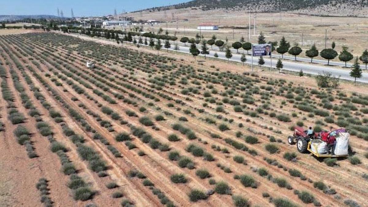 2027 yılı tarımsal destek başvuruları 1 Temmuz’da başlayacak