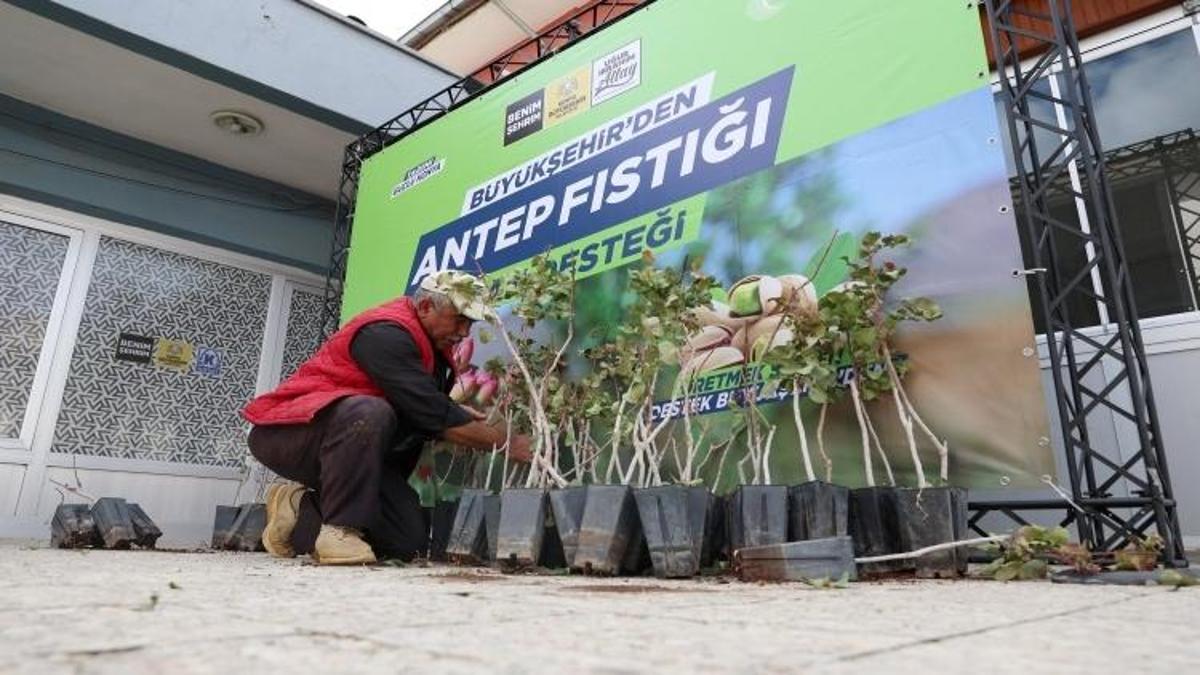 Konya'da bugün başlıyor: 31 ilçede destek için şartlar belli oldu