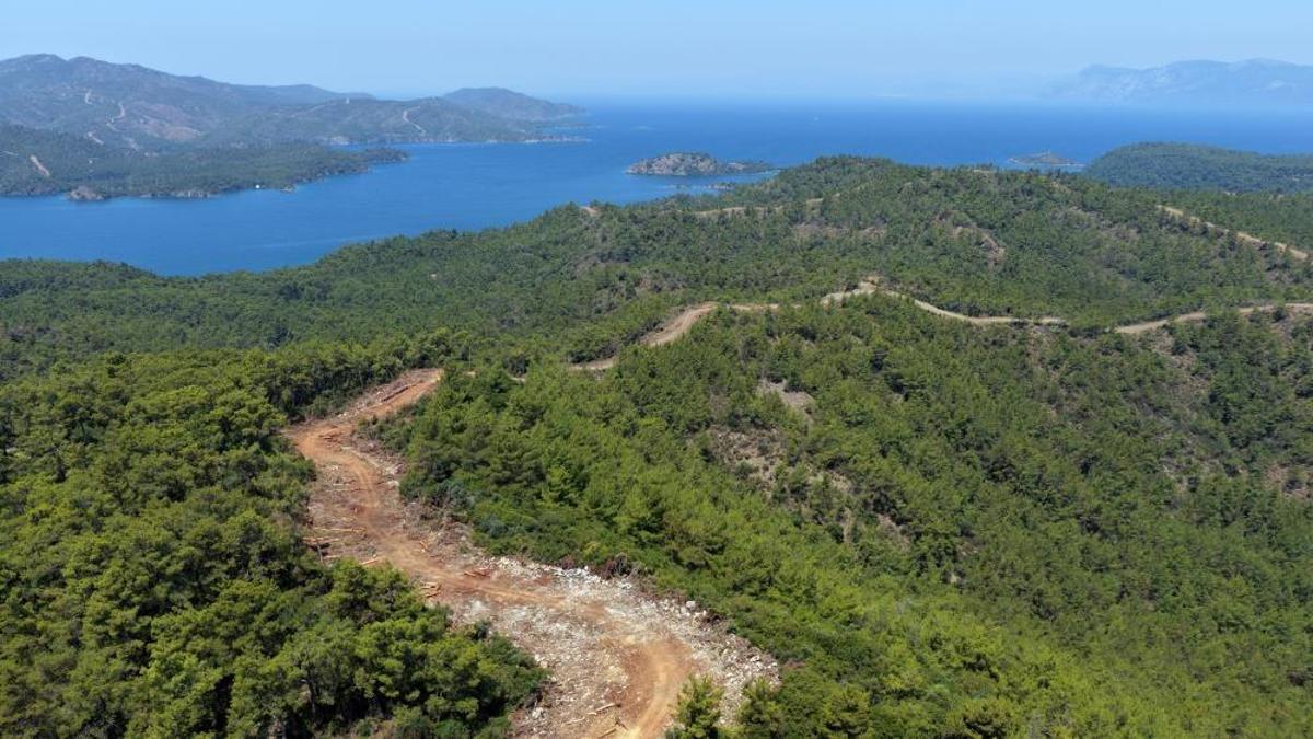 Orman yangınlarına karşı kritik önlem! Yol 2 bin kilometreye çıkıyor