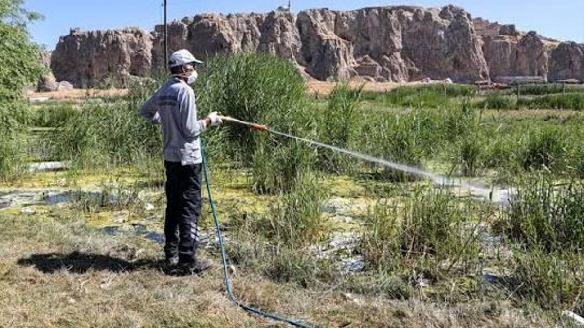 Van'da vektörle mücadele çalışmaları devam ediyor