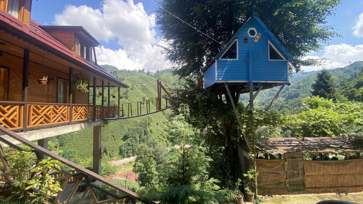 Rize'de iki kardeşin ağaç evine balkondan asma köprüyle ulaşım